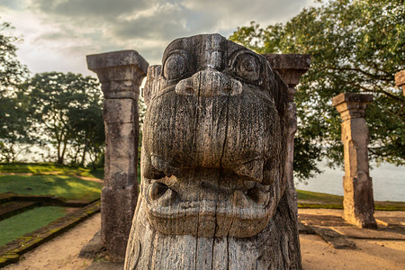 尼桑卡马拉王观众厅Polonnaruw的狮子雕像背景图片