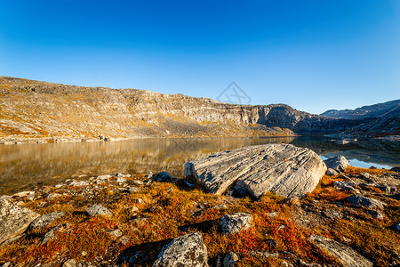 橙色秋秋秋 绿地的苔原景观场景爬坡橙子岩石地形峡湾顶峰旅行气候旅游背景图片