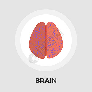 大脑平 ico药品心理白色小脑生物学绘画精神科智慧智力解剖学背景图片