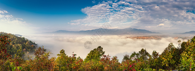 日出时蓝天背景下雾蒙蒙的山脉全景景观 清晨日出时雾蒙蒙的风景宁静的自然植物 户外全景自然背景