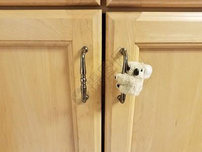 小考拉熊在柜门把手上野生动物动物木头橱柜内阁背景图片