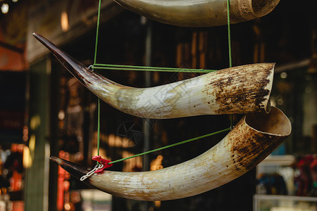 妥乐村在Buon Don村作为旅游纪念品出售的水牛角装饰摄影文化生活乡村目的地高地旅行牛角体验现实背景
