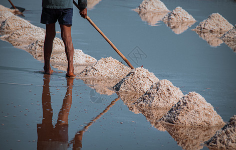 在柬埔寨贡布收获海盐旅游热带农村地方盐业方法生计电影文化体力劳动背景