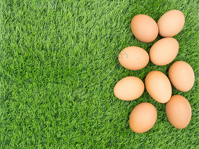 草底的新鲜鸡蛋绿色产品花园食物母鸡场地草地动物农场饮食背景图片