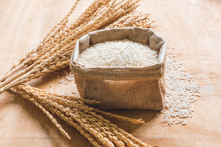 木桌背景的原稻谷和干稻种植食物种子早餐小麦美食饮食耳朵稻田谷物餐厅背景图片