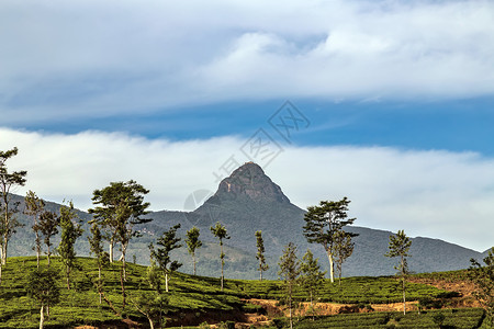 亚当山峰斯里帕达斯里兰卡背景