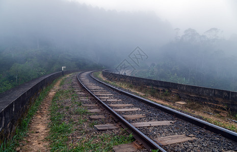斯里兰卡Ella山雾中铁路林背景图片