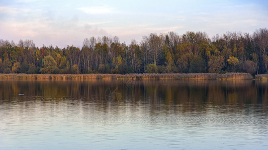 波哥里亚第三湖傍晚秋天风景植物反思日落阳光树木森林环境钓鱼植物群季节背景图片