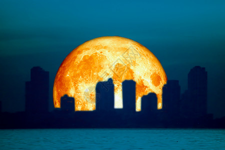 花之物语城市之夜的天上 建筑着月亮血流满月戏剧性城市植物森林月球亮度天空血月红月亮背景