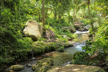 Pakerisan 山谷的河床 有狂野的水和大石头 在坦巴西林的一个殡仪馆 水流从河床上的岩石上滚过 巴厘岛 印度尼西亚 热带植背景