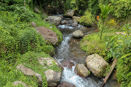 Pakerisan 山谷的河床 有狂野的水和大石头 在坦巴西林的一个殡仪馆 水流从河床上的岩石上滚过 巴厘岛 印度尼西亚 热带植背景图片