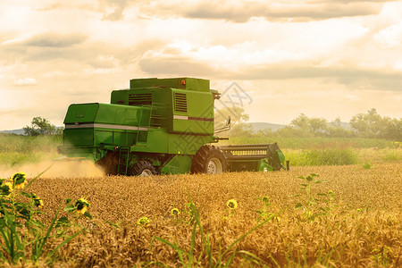 pr图片在小麦田上操作的合并收割器 收割为 Pr农业农村生产收成种子农场国家场地收割机土地背景
