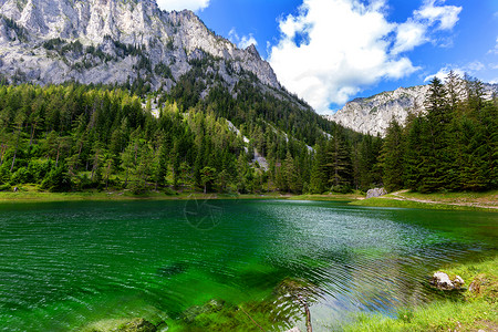 美丽的绿湖 水晶清水场景环境绿色蓝色森林国家风景天空季节荒野背景图片