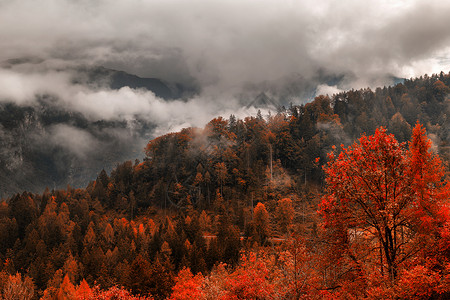 干部竞选卡多尔的秋天阴云 山上风景美丽背景