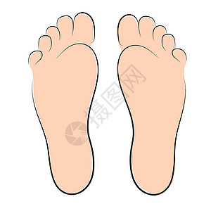 人类脚符号成人人类足迹矢量图鞋类插图女士卡通片身体男人艺术脚步标识白色插画