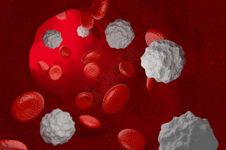 白血细胞在 Vein 3D 种子中的白血细胞背景图片