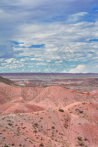 美国国家森林公园被石化公园岩石荒地沙漠森林旅行国家地质学天空蓝色背景图片