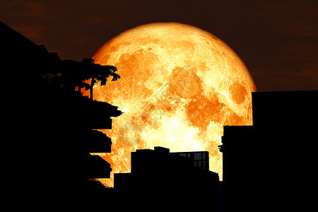 红天树上建筑的月亮背影背景图片