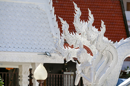 泰文化艺术 土科艺术 白长廊艺术背景图片
