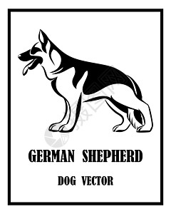 澳洲牧羊犬德国牧羊犬黑色和白色 eps 1设计图片