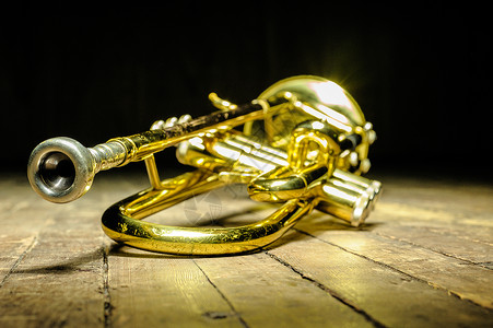 Brass仪器     背光在舞台上吹号角背景图片