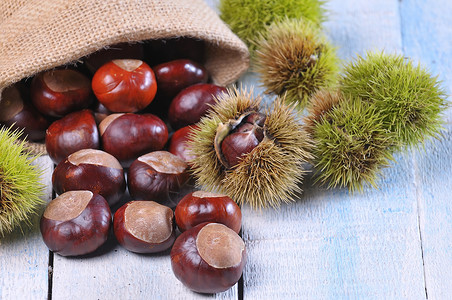 栗子食物坚果季节桌子背景图片
