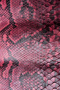 彩色真蛇皮蛇皮动物印花背景墙纸紫色鳄鱼活力纺织品皮肤爬虫材料打印背景图片