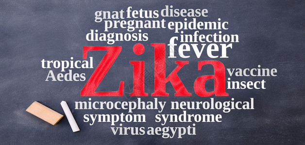 Zika病毒的传言伊蚊感染诊断疾病蚊蚋插图症状蚊子疫苗黑板背景