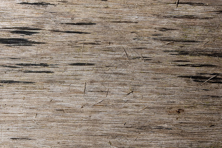 背景木木纹理木材硬木背景图片