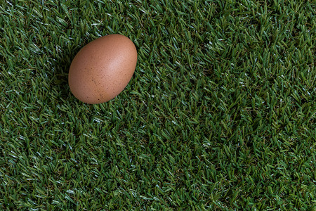 隔离概念一个鸡蛋躺在草地上背景图片