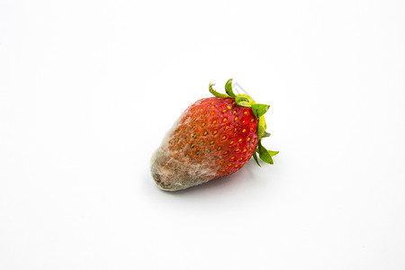 草莓不能吃背景图片