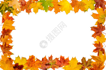 黄色虚线框架秋季休假框架边界活力森林橙子红色季节黄色绿色白色叶子背景