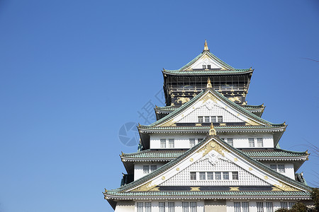 玫瑰城堡和蓝天 日本城堡吸引力假期历史性历史旅行观光公园游客皇帝堡垒背景图片