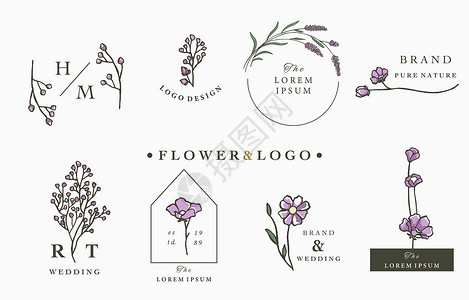 带叶 几何 圆形 方形框架的花卉标志系列配件乡村绘画收藏树叶花束花圈婚礼插图植物背景图片