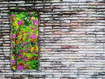 裂缝砖墙和紫红黄花绿树背景图片