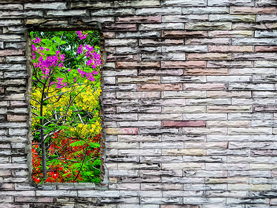 裂纹砖墙紫红黄花绿树背景图片