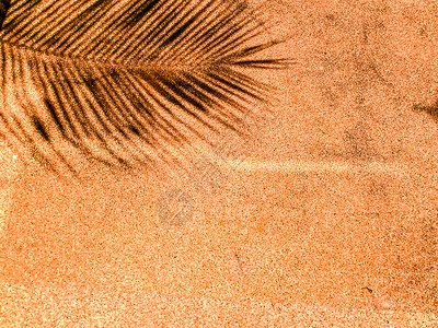 棕榈树在红砂岩上留下阴影背景图片