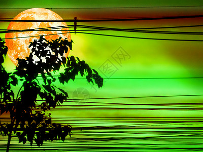 超级血月和太阳光影电线和树背景图片