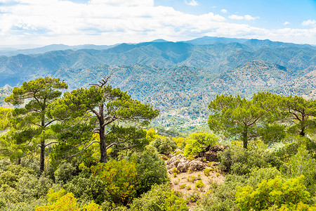 特罗多斯塞浦路斯Troodos山脉 雪松和美丽的山谷风景背景