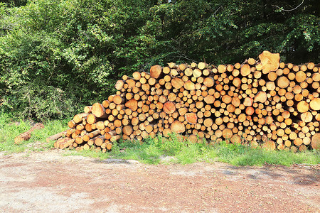 带年轮的堆叠木柴的详细特写纹理风化木头柴堆松树圆圈宏观树干戒指木材橡木背景图片