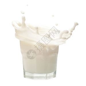 白色背景上隔绝的玻璃上的牛奶喷溅产品奶制品杯子溪流通量早餐奶油饮料酸奶运动背景图片