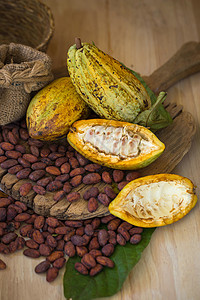 Cacao水果 原可可豆 木制可可棚可可食物宏观巧克力粮食热带红色豆荚木头甜点背景图片