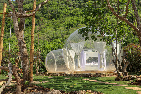 带有透明墙壁的浪漫泡泡屋 白色木制双人床 泡沫内有蚊帐 在充气帐篷里度蜜月 印度尼西亚巴厘岛热带天堂的旅游胜地背景图片