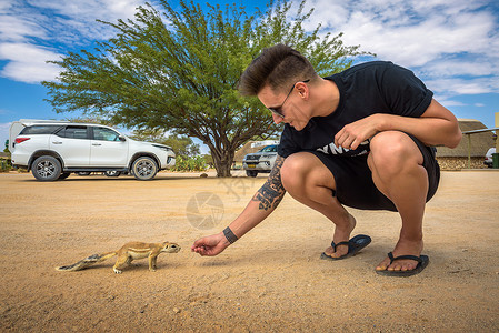 在纳米比亚索利泰岛喂养松鼠的旅游者高清图片