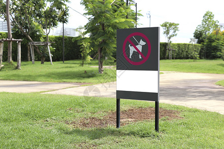 禁止鸣笛指示牌标志牌子上写着这里不允许狗进入 有禁止狗进入公园的标志 (笑声)背景