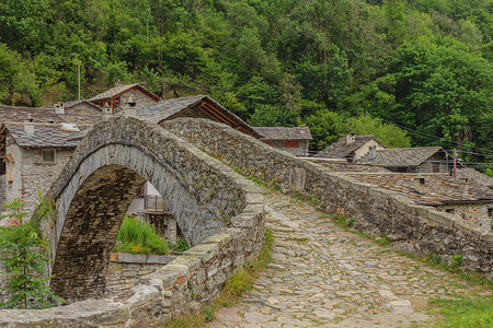皮埃蒙特一座山峰高山村典型的桥梁以及建筑学树木高山绿色房屋艺术村庄灰色石头背景