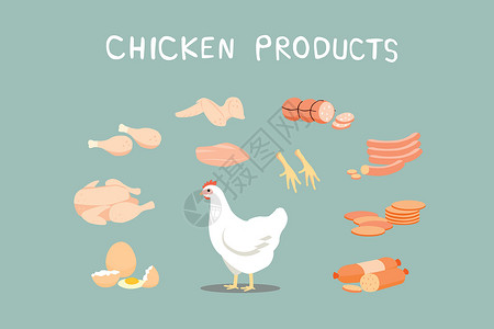 黑脚鸡鸡肉制品它是一种大众化的食品 鸡制品可加工多种类型胸部翅膀产品雕刻公鸡市场草图香肠插图小鸡插画