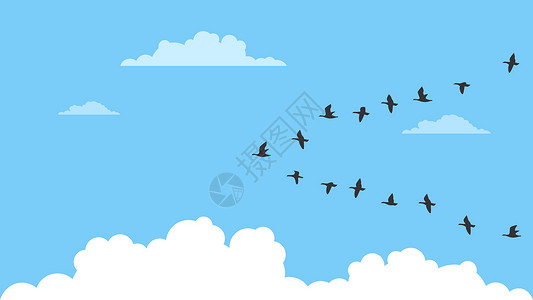 飞行编队一群候鸟动物迁移平面背景国际翅膀设计荒野插图晴天插画