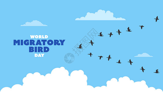 植绒面料一群候鸟设计鸟群野生动物白色蓝天动物国际植绒黑色空气插画