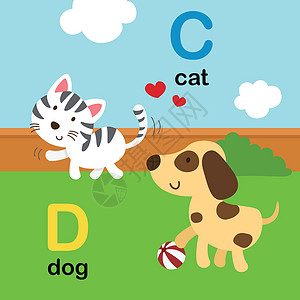 猫和狗图片字母表字母 C-猫 D-做设计图片